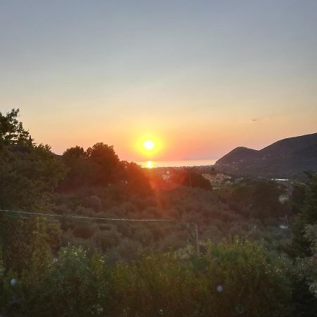 Casa Marilu Villa Santa Maria di Castellabate Eksteriør billede