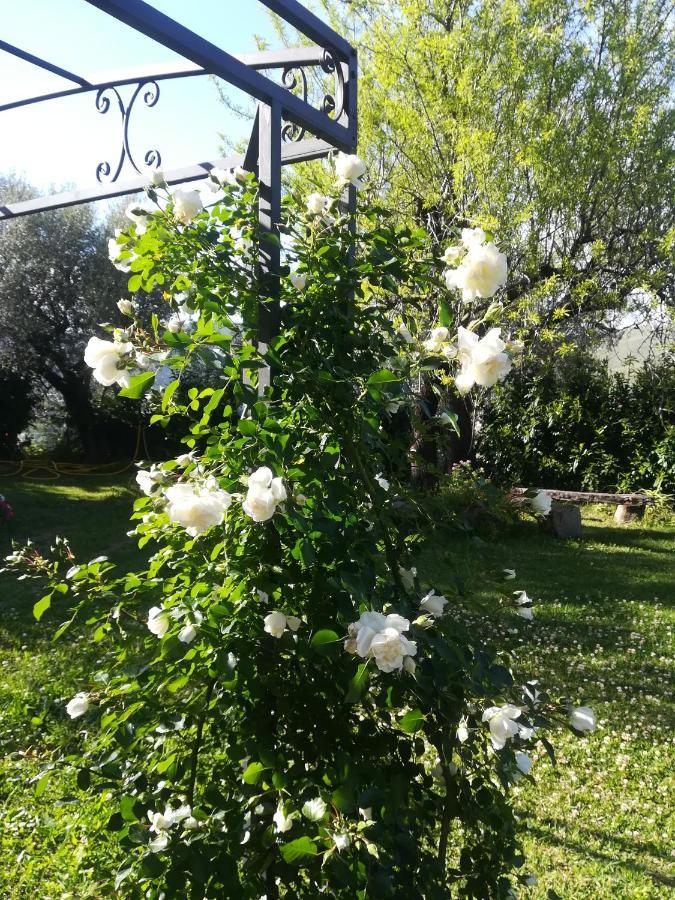 Casa Marilu Villa Santa Maria di Castellabate Eksteriør billede