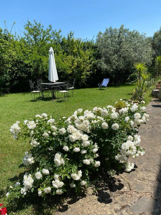 Casa Marilu Villa Santa Maria di Castellabate Eksteriør billede